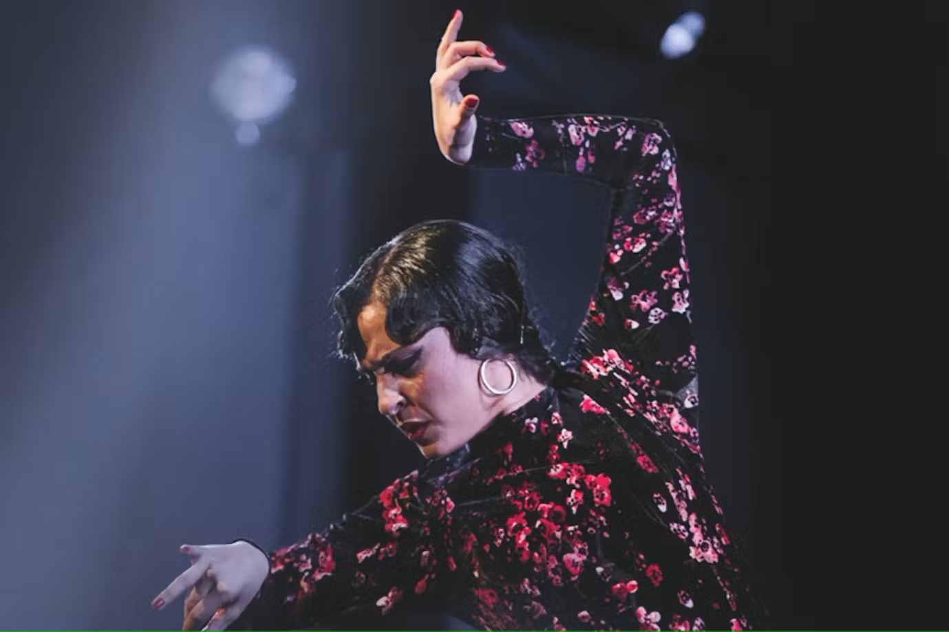 Casa Ana espectáculo Flamenco