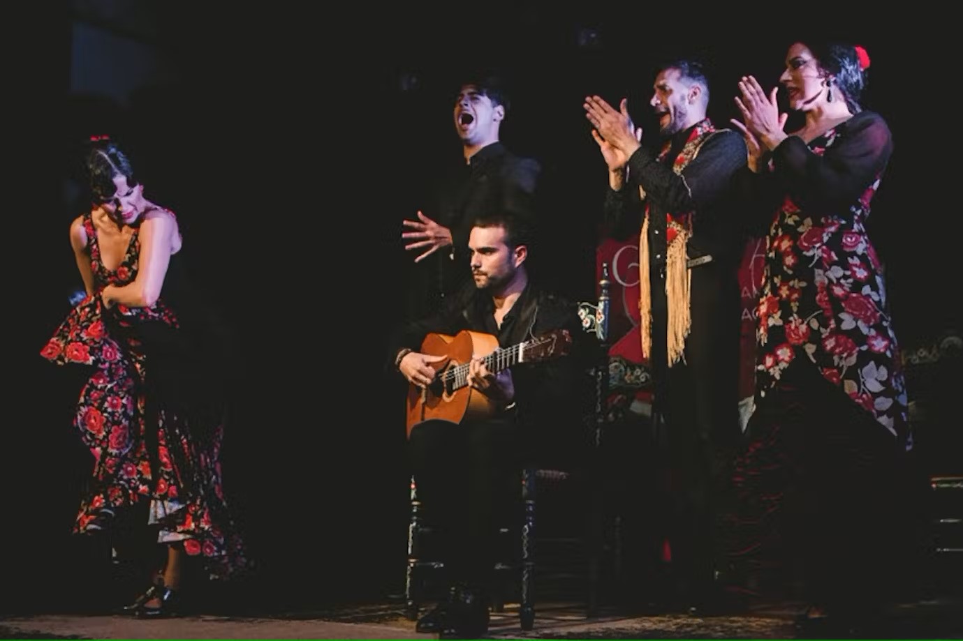 Casa Ana espectáculo Flamenco