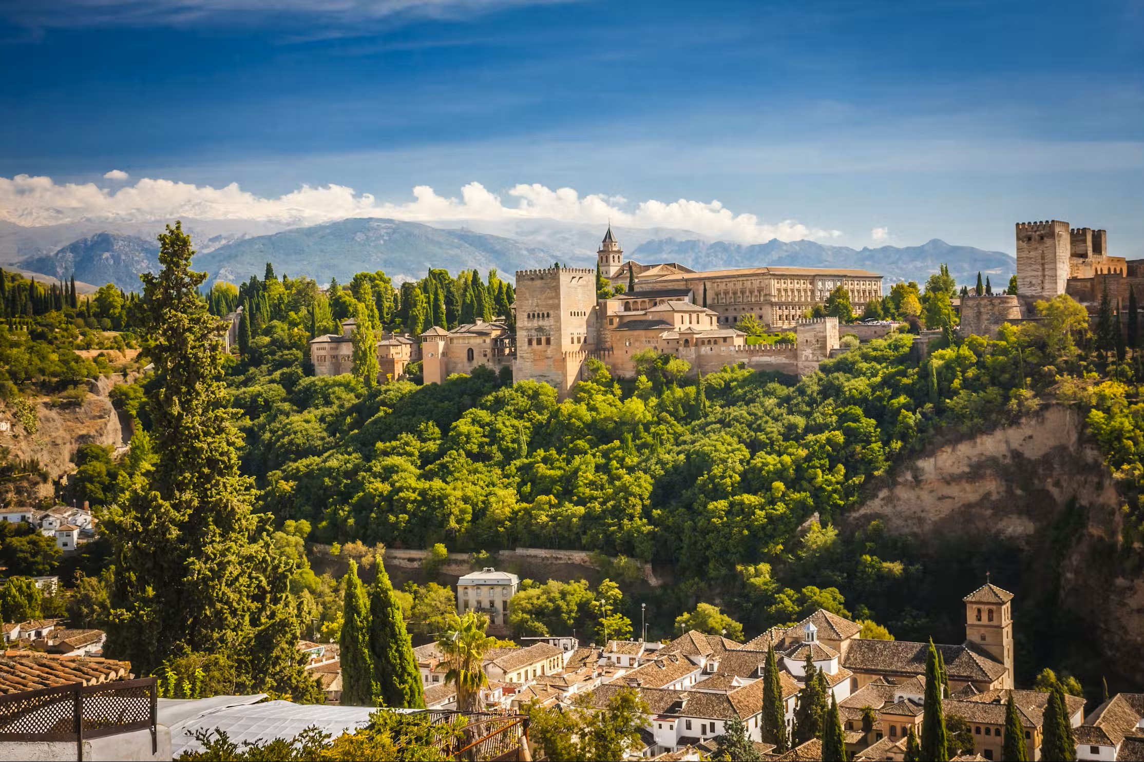 Alhambra y Palacios nazaríes entradas