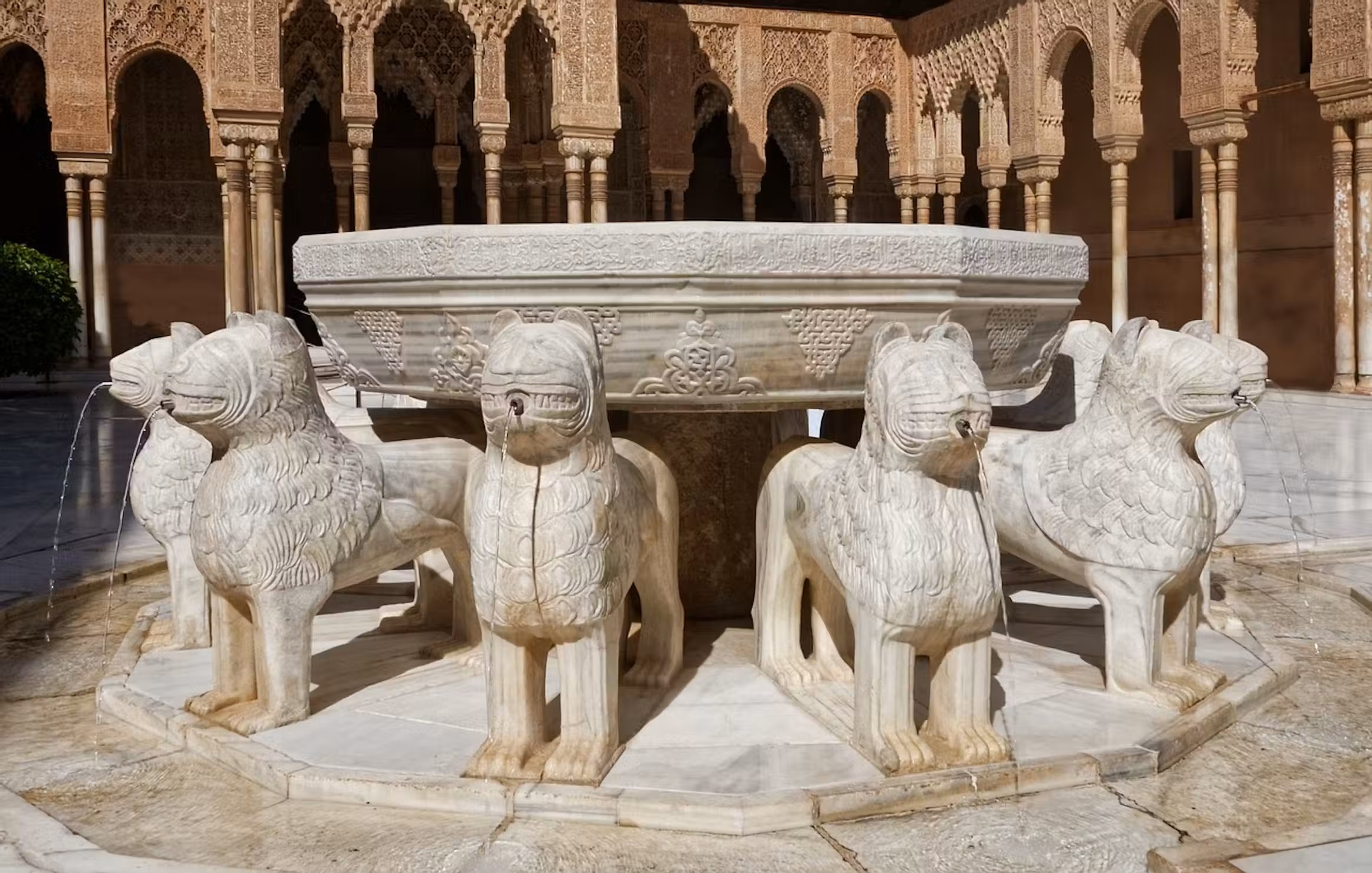 Alhambra y Palacios nazaríes entradas