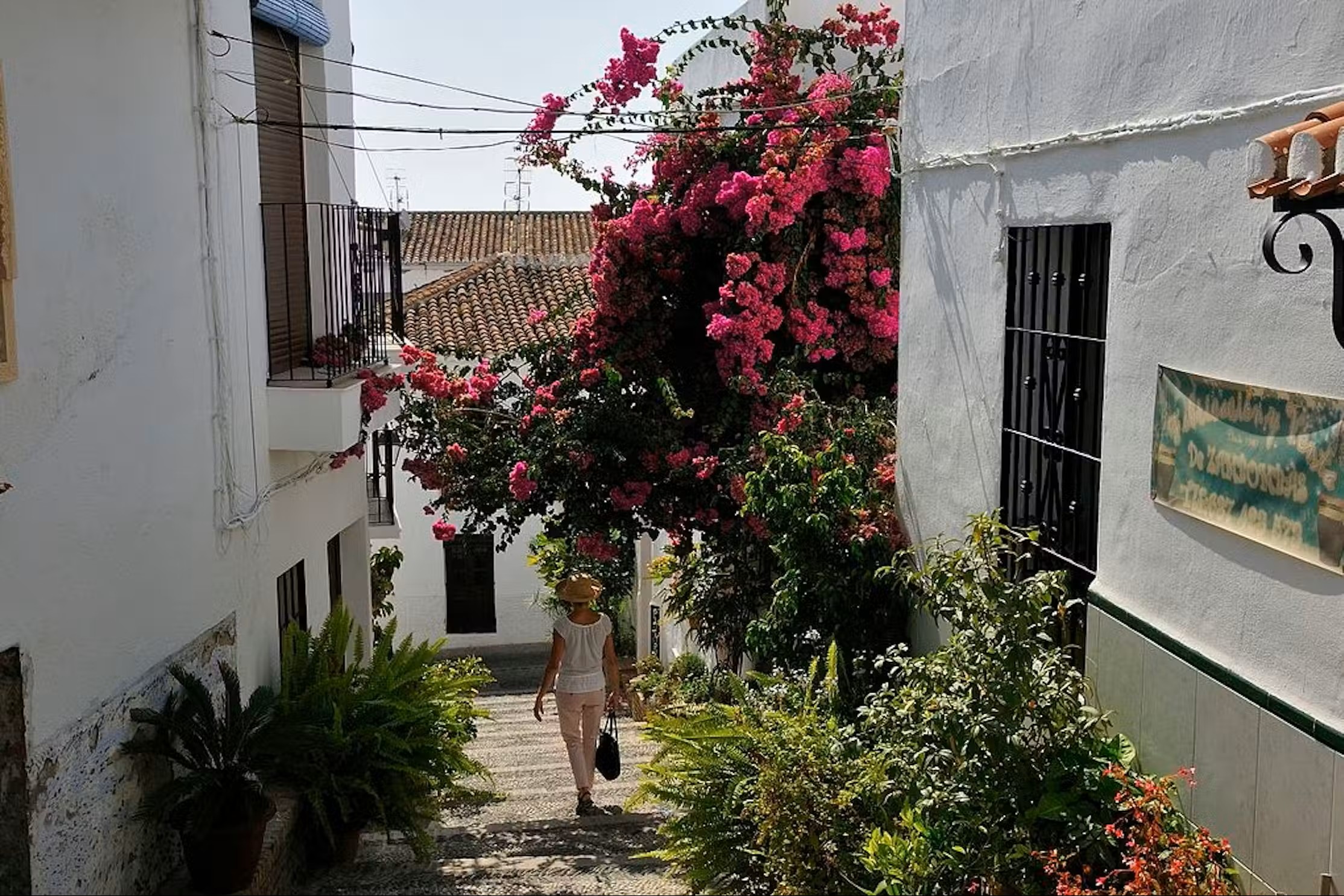 Excursión Cueva de Nerja y Costa Tropical desde Granada