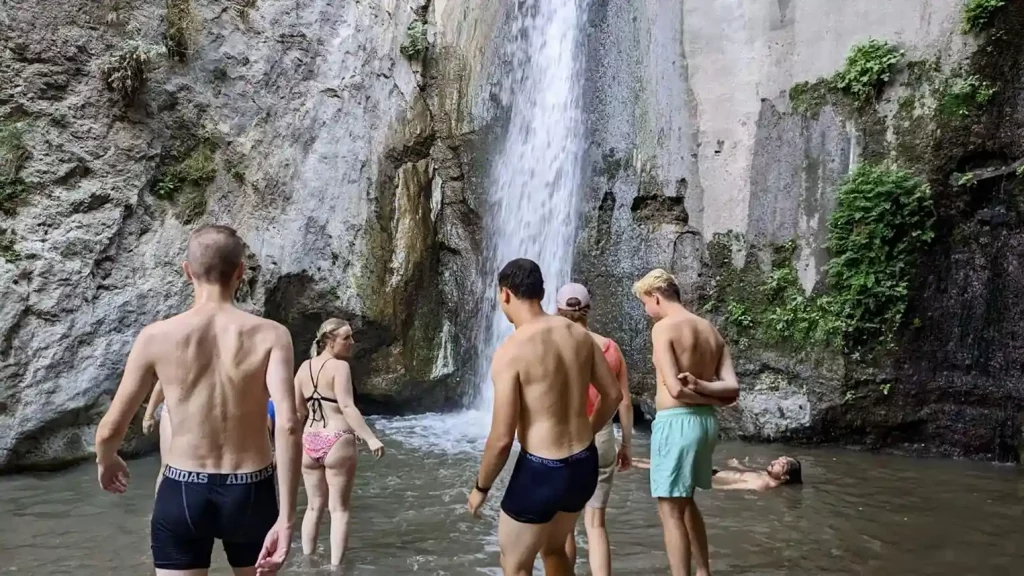 Cachorros de Monachil